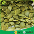 Chinese Shine Skin Pumpkin Seeds Kernel Price